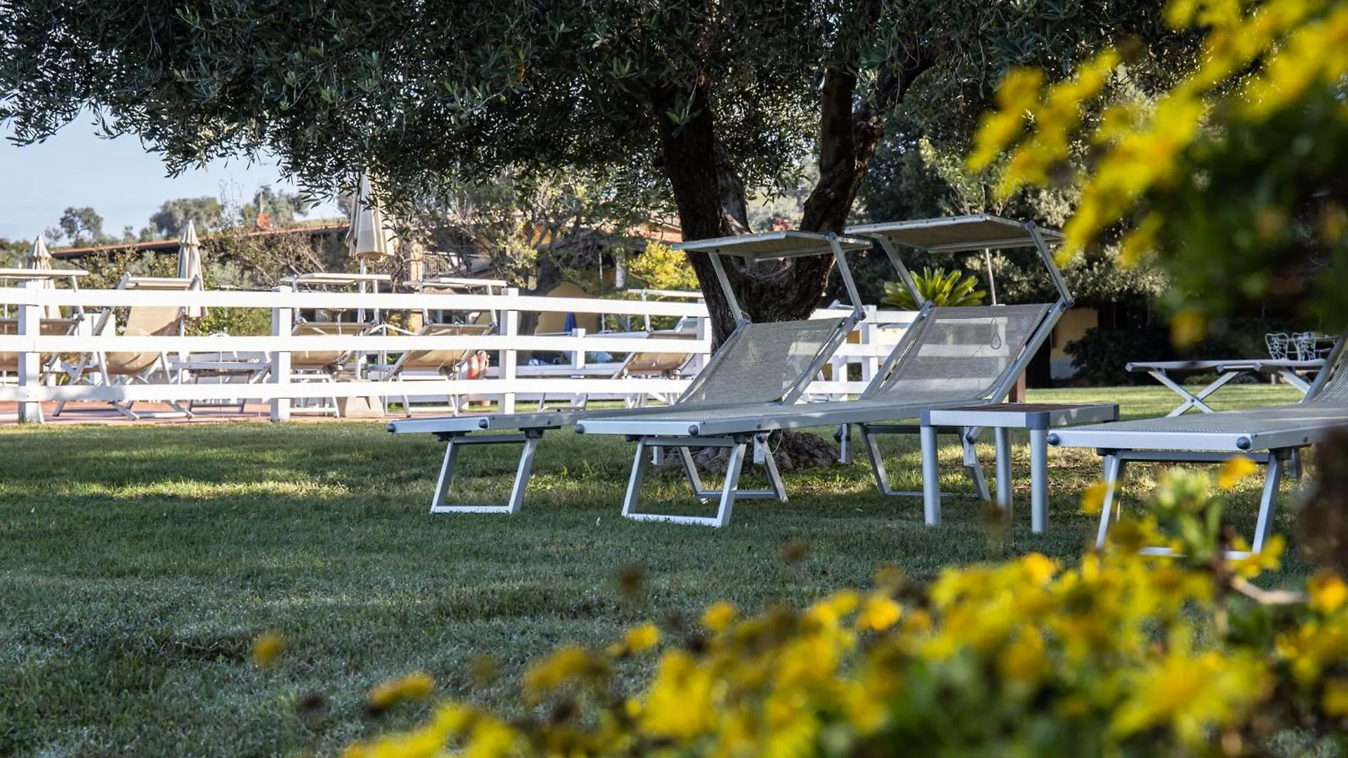 Agriturismo Podere L'Agave San Vincenzo Séjour à la ferme