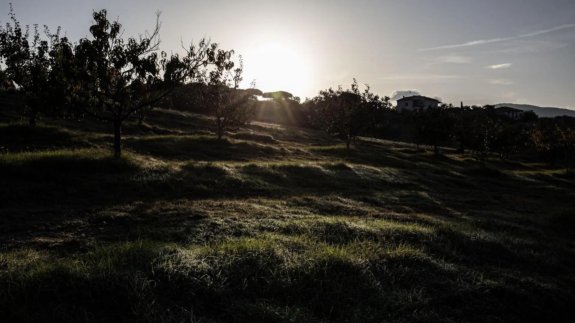 Agriturismo Podere L'Agave San Vincenzo Italie