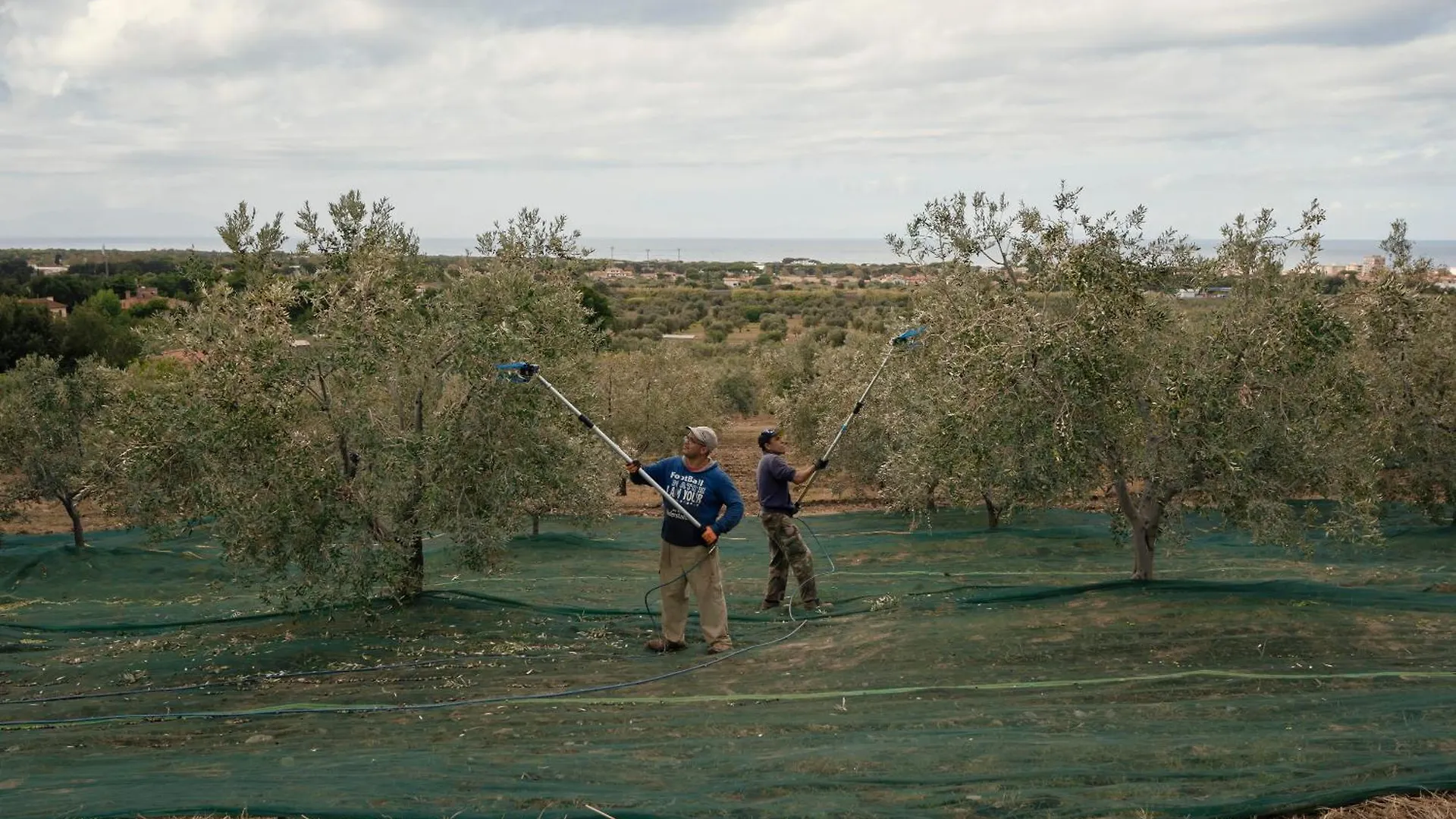 Agriturismo Podere L'Agave San Vincenzo 0*,