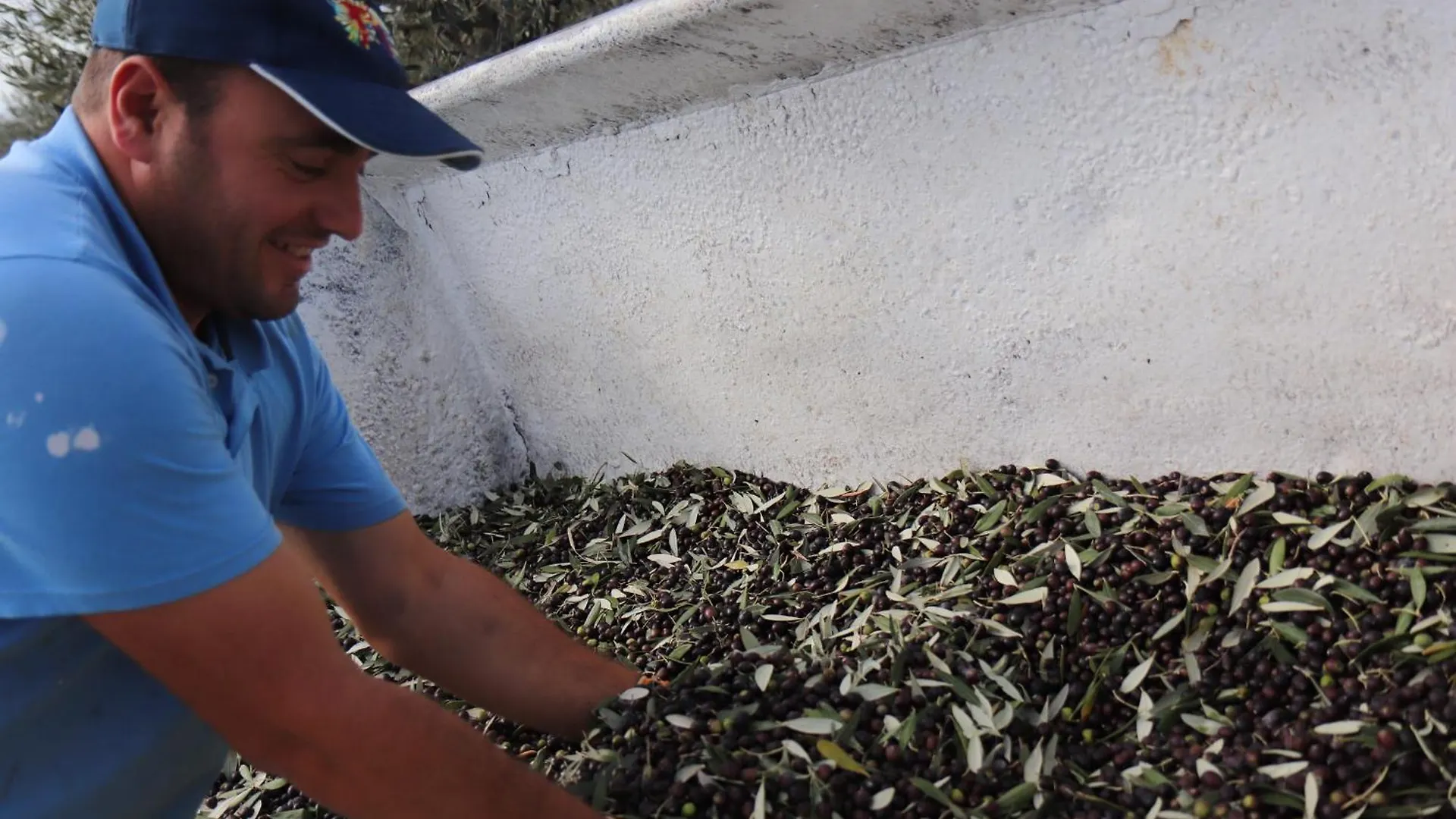 Κατάλυμα σε φάρμα Agriturismo Podere L'Agave Σαν Βιντσέντσο Ιταλία