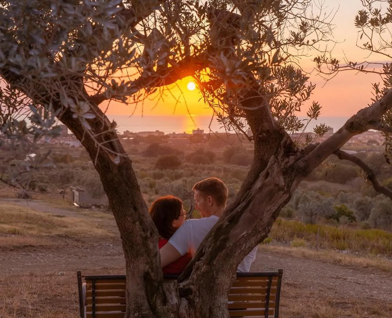 Κατάλυμα σε φάρμα Agriturismo Podere L'Agave Σαν Βιντσέντσο