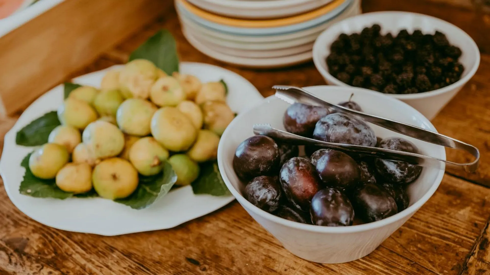 Agriturismo Podere L'Agave Σαν Βιντσέντσο Κατάλυμα σε φάρμα