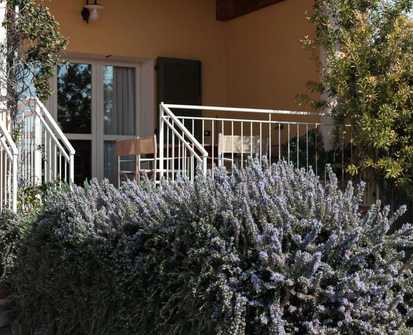 Agriturismo Podere L'Agave Σαν Βιντσέντσο