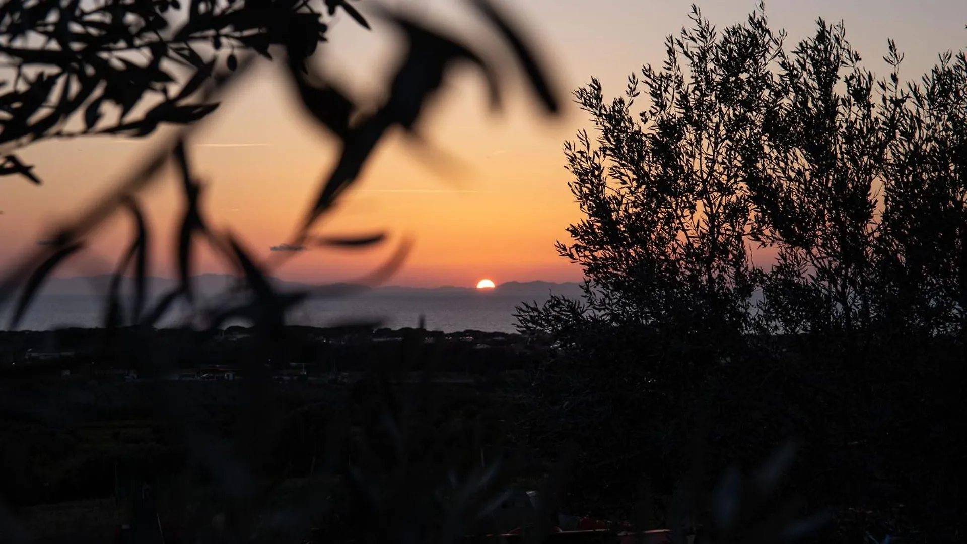 Farm stay Agriturismo Podere L'Agave San Vincenzo