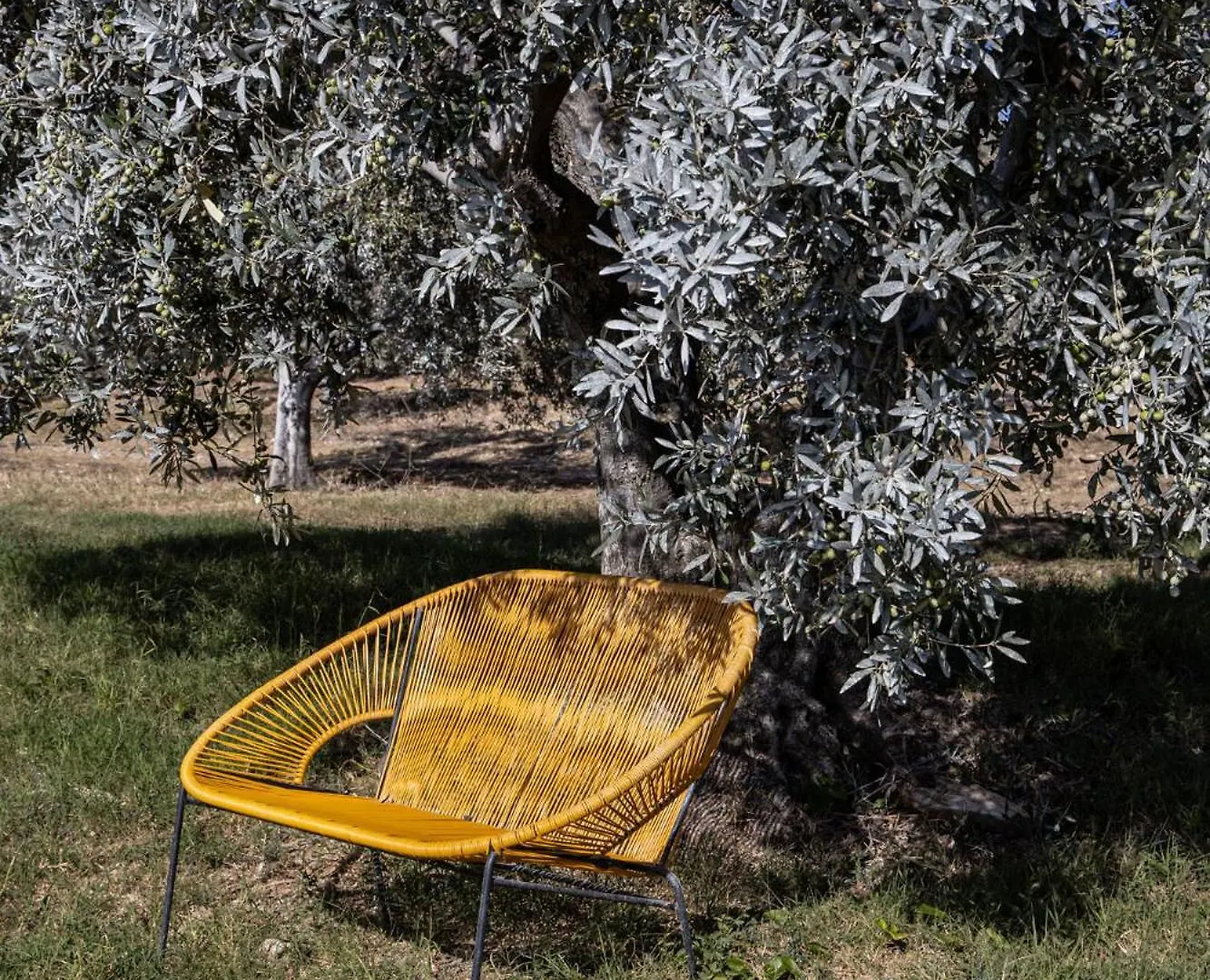 Farm stay Agriturismo Podere L'Agave San Vincenzo