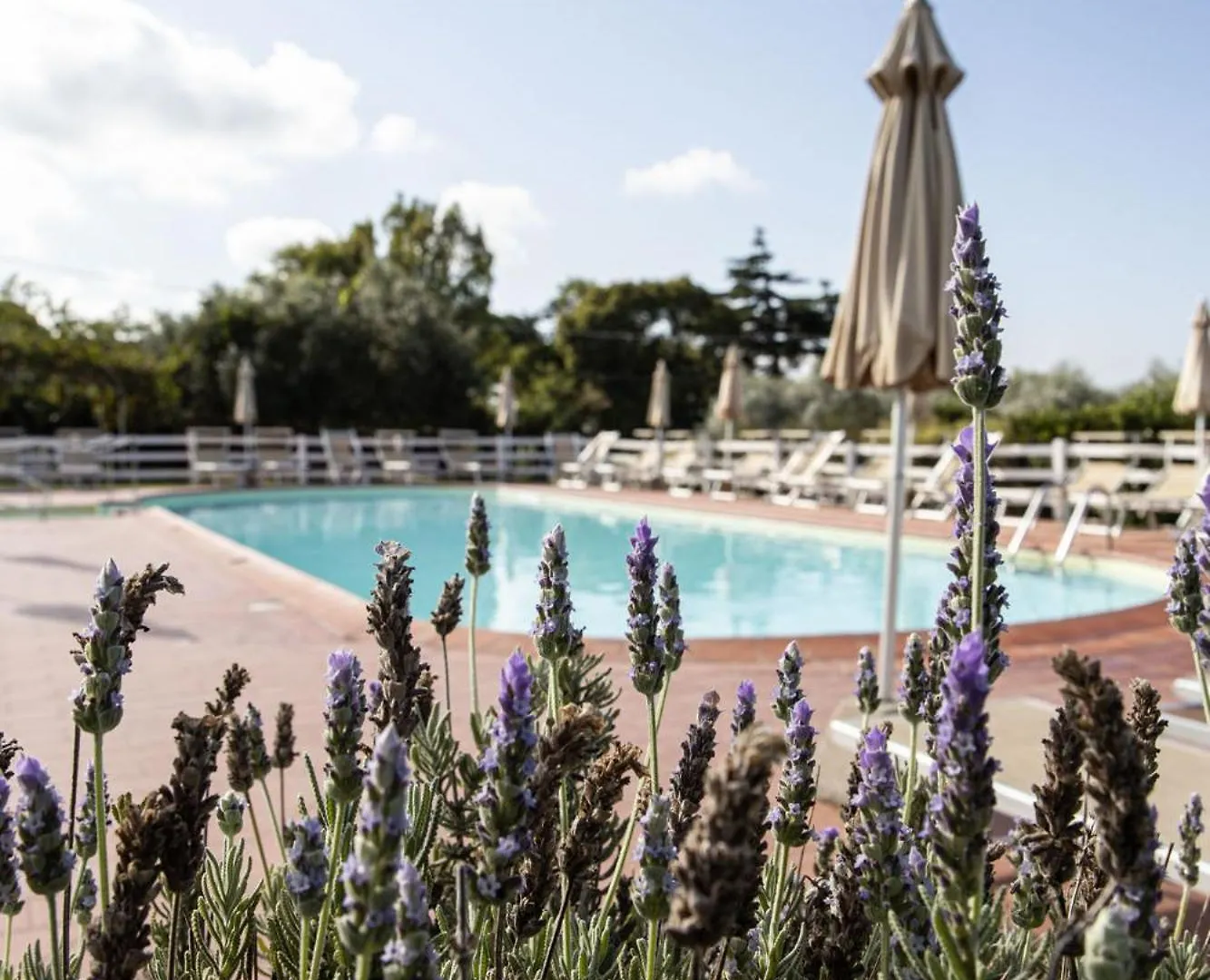 Agriturismo Podere L'Agave San Vincenzo Farm stay