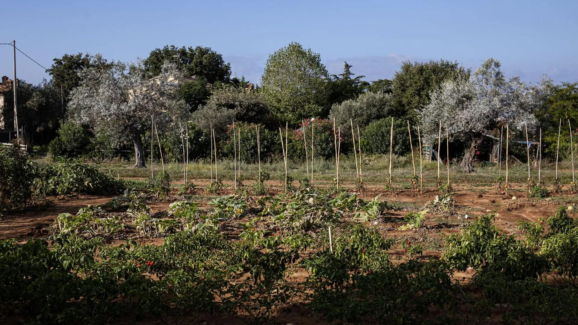Agriturismo Podere L'Agave San Vincenzo