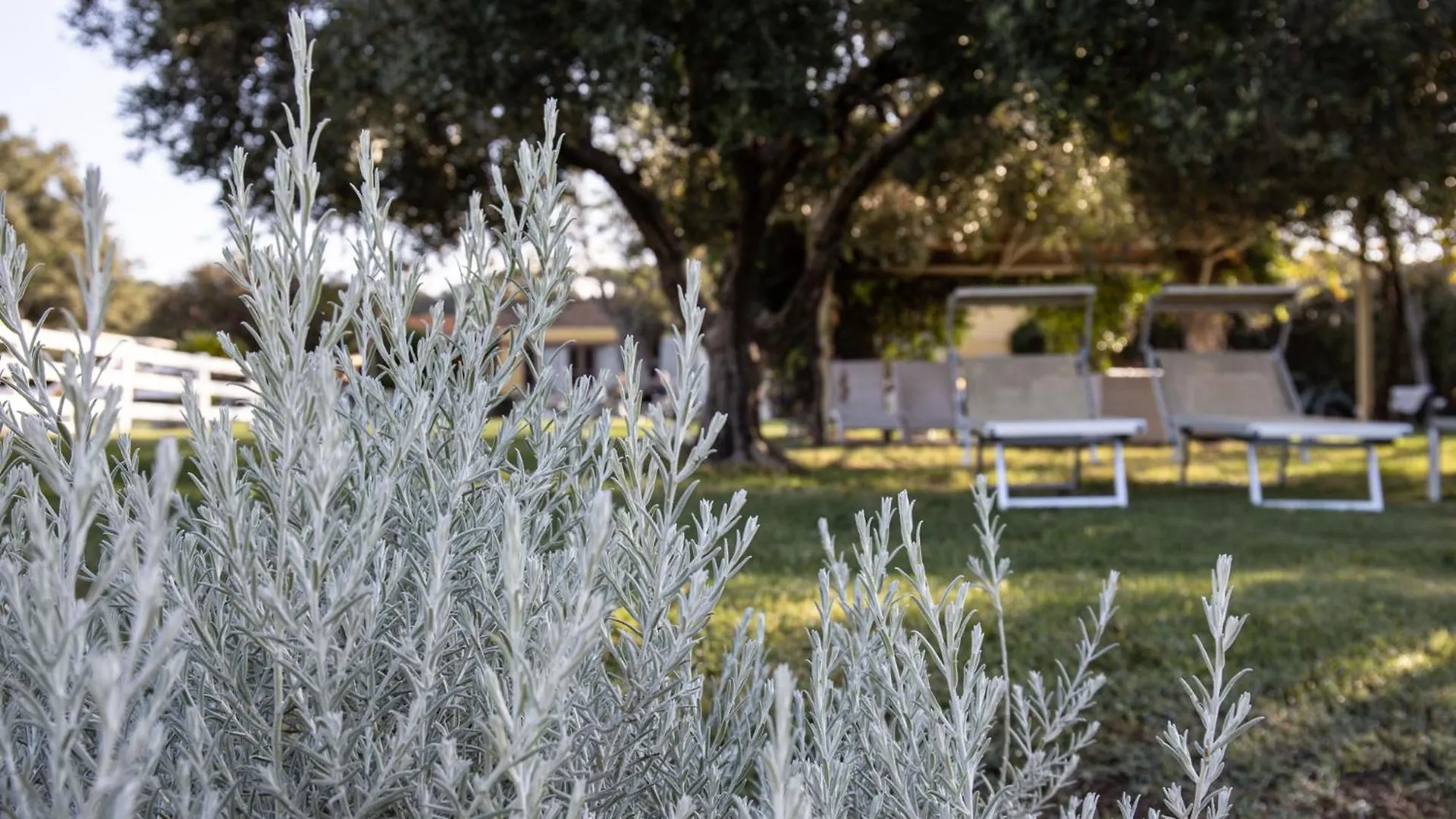 Agriturismo Podere L'Agave San Vincenzo Italy