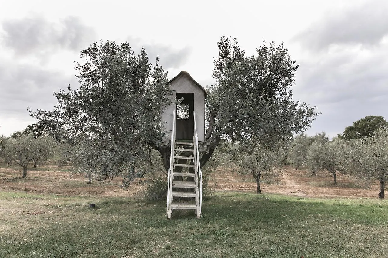 Farm stay Agriturismo Podere L'Agave San Vincenzo Italy